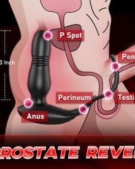 Alston – Thrusting Vibrating Prostate Massager