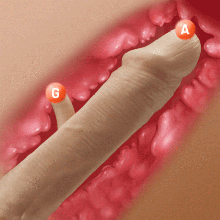 Acmejoy - Hollow Flapping Silicone Dildo Vibrator 8.38 IN - 图片 7