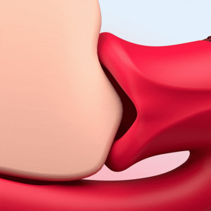 Acmejoy-Shaped Biting G Spot Soother with Vibration & Flapping - 图片 8
