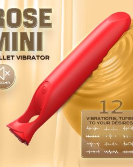 Acmejoy – 12 Vibrations Precision Clitoral Stimulation Bullet Vibrator