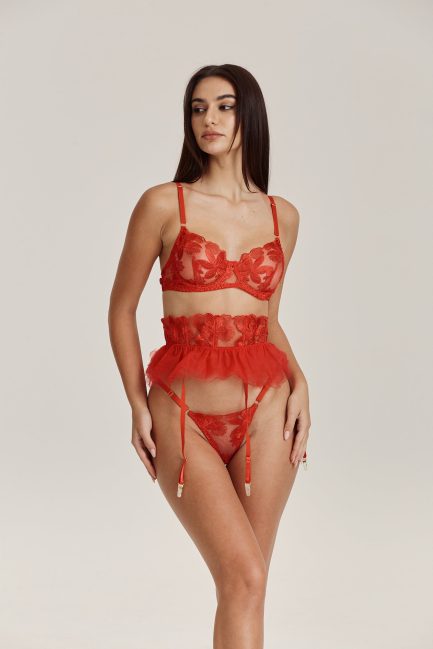 Monica Embroidered Lingerie Set - 图片 6