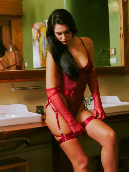 Olivia Mesh Bodysuit - 图片 3
