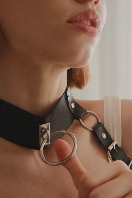 Quinn Body Harness - 图片 4